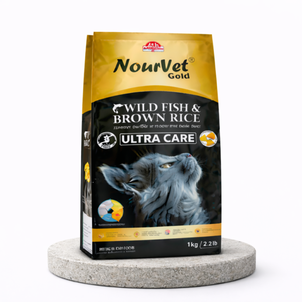 ChatGPT Image Feb 16, 2026, 04_36_50 PM Scelerisque mauris pellentesque pulvinar