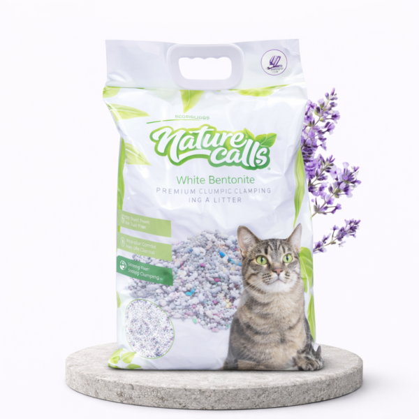 Rhoncus aenean velelit scelerisque mauris