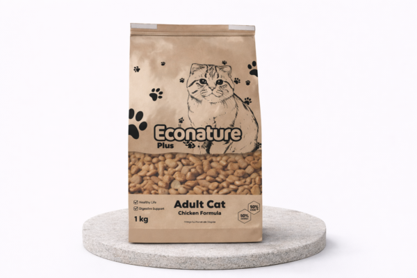 ChatGPT Image Feb 16, 2026, 04_56_56 PM Vestibulum sedarcu nonodio euismod