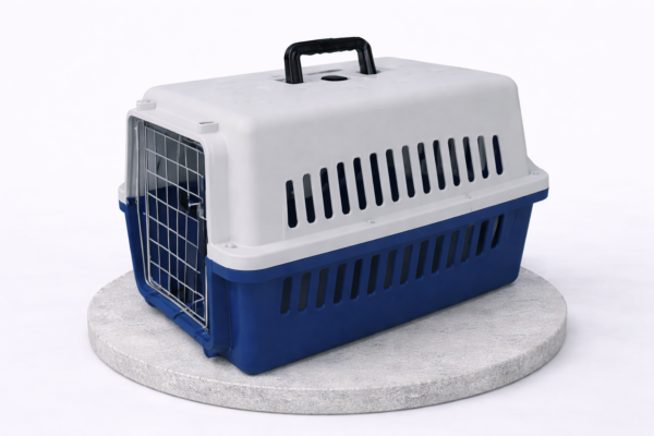 Fringilla Phasellus Faucus Scelerisque Eleifend Donec