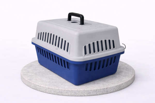 Fringilla Phasellus Faucus Scelerisque Eleifend Donec