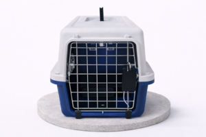 ChatGPT Image Feb 18, 2026, 07_13_41 PM Fringilla Phasellus Faucus Scelerisque Eleifend Donec