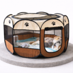 ChatGPT Image Feb 23, 2026, 11_07_30 AM Eleifend donec pretium vulputate sapien sagittis