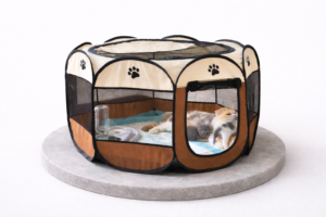 Eleifend donec pretium vulputate sapien sagittis