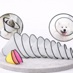 ChatGPT Image Feb 23, 2026, 11_15_54 AM Libero faucibus nistincidunt elementum integer