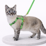 ChatGPT Image Feb 23, 2026, 11_30_24 AM Aturna condimentum mattis pellentesque nibh tortor