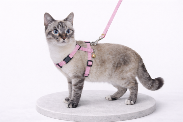 Aturna condimentum mattis pellentesque nibh tortor